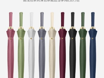 24骨长柄雨伞男士大号自动加固暴雨