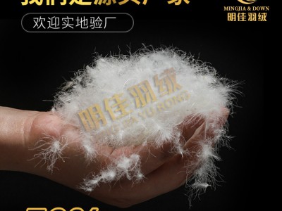 厂家直销水洗70%纯白鸭绒高蓬松无异