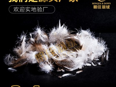 厂家直销2-4灰鸭毛片无异味清洁环保