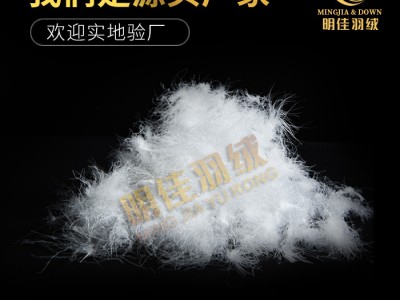 厂家直销轻奢高颜大鹅绒黄金羽绒足