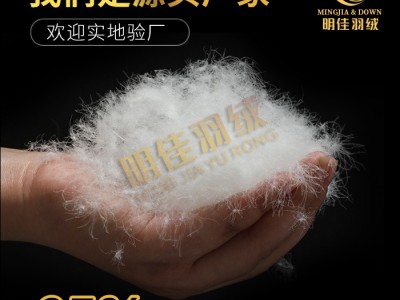 厂家直销水洗95%纯白鸭绒高蓬松无异