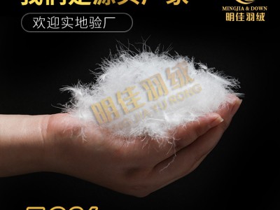 厂家直销水洗50%普白鸭绒高蓬松无异