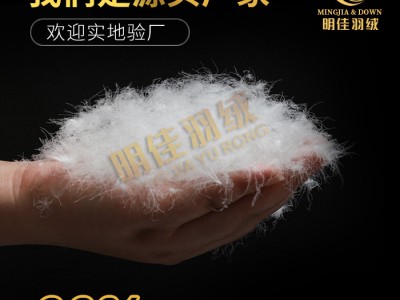 厂家直销水洗90%普白鸭绒高蓬松无异