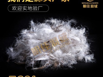厂家直销水洗50%灰鹅绒高蓬松无异味