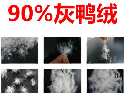 90羽绒 90鸭绒 90%灰鸭绒