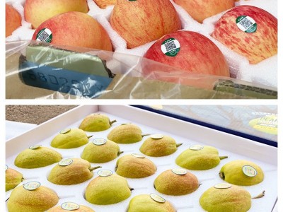 加工定制EPE 泡沫盒 水果包装 茶叶