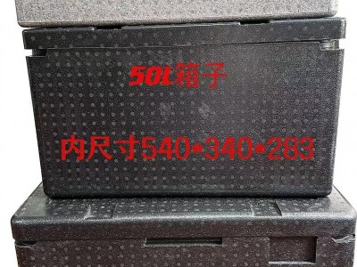 EPP冷链运输保鲜周转箱 外卖配送高