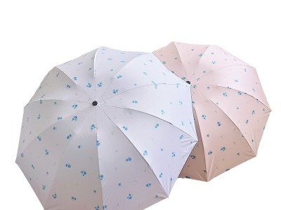 雨伞手动新款小清新田园浪漫晴雨两