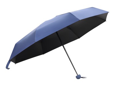 巨佳 龙井茶50g小袋装浓香新品绿茶