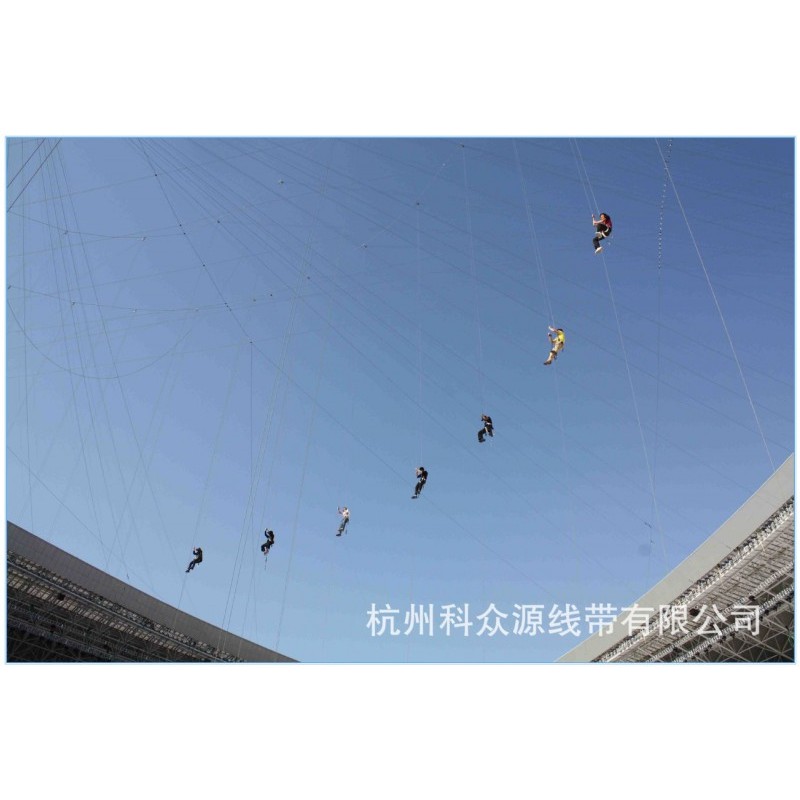 羽绒50纯白鹅绒国标水洗蓬松大朵服装标准填充物原料羽绒羽毛批发