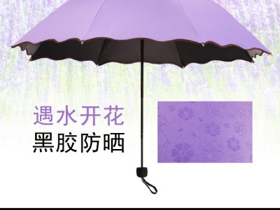 遇水开花伞黑胶晴雨伞防晒遮阳太阳