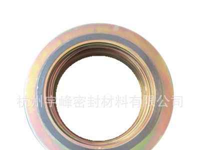 金属缠绕垫 四氟垫 石墨复合垫 金属