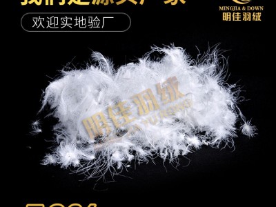 厂家直销水洗50%白鹅绒高蓬松无异味