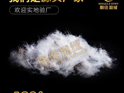 厂家直销水洗60%灰鹅绒高蓬松无异味