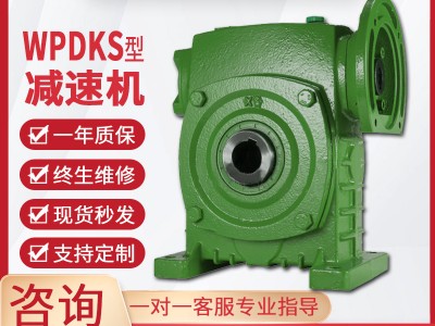 WPDKS减速机蜗轮蜗杆减速机单级同轴