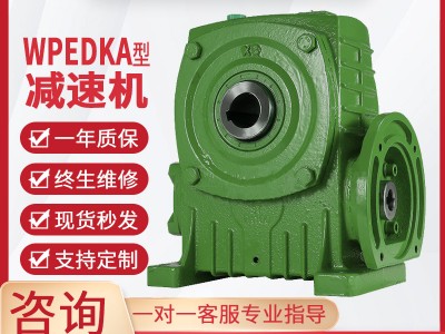 WPEDKA减速机蜗轮蜗杆减速机单级同