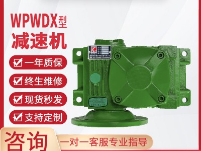 WP减速机WPA减速机双级减速机铁壳减