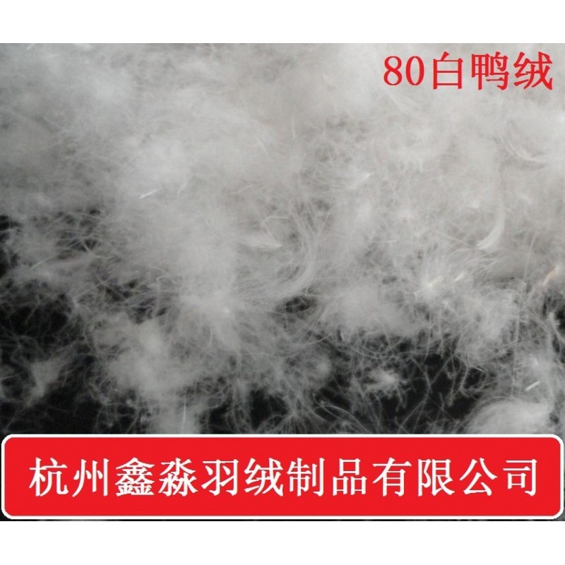 美标 水洗80羽绒 白鸭绒 厂家直销