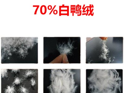 70羽绒 70鸭绒 70%白鸭绒