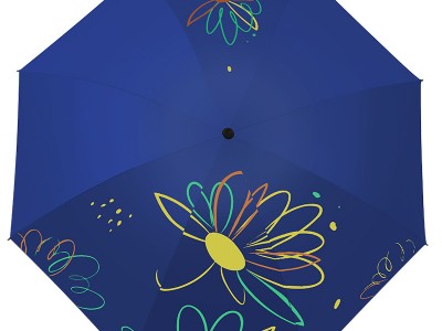 清新感雨伞女士伞高级感雨伞防晒伞