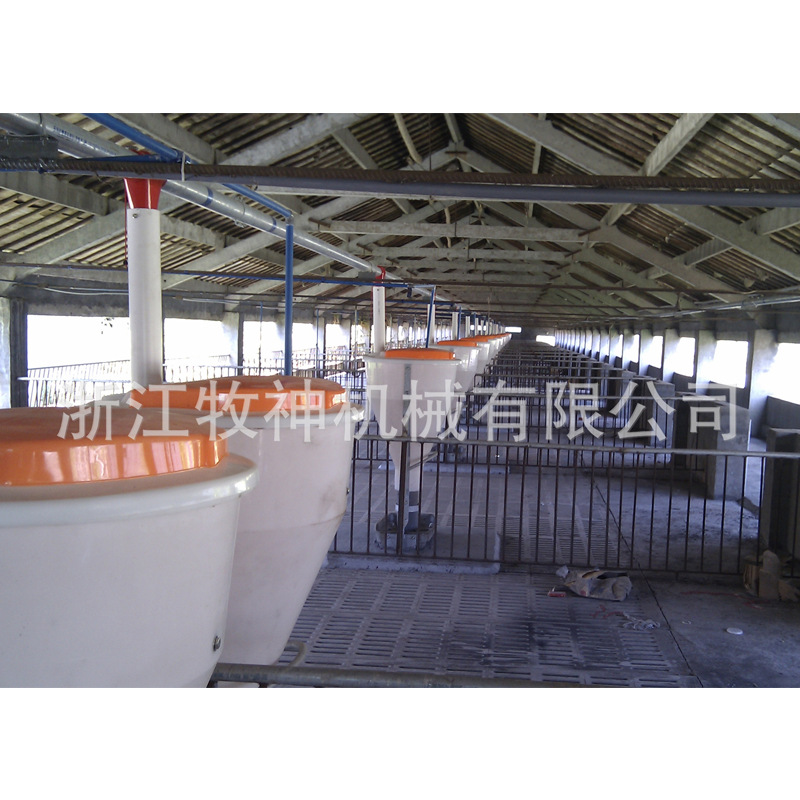 厂家直销猪用自动输送喂料系统 定位栏自动化料线 养猪自动料线