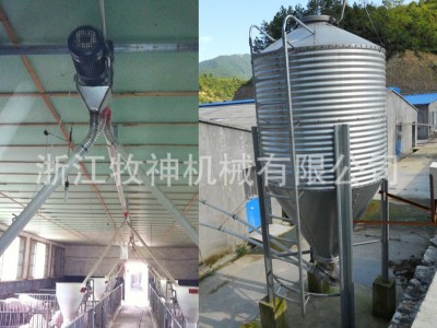 厂家直销猪场自动喂料设备 自动上料