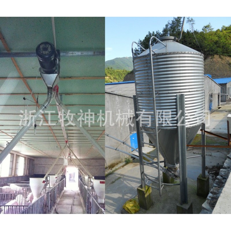 厂家直销猪场自动喂料设备 自动上料机 供应养殖场自动喂料系统