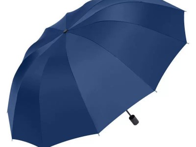 特大雨伞12骨三人晴雨两用加大折叠