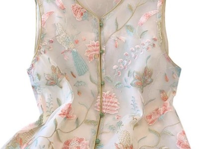 薄款欧根纱新中式马甲连衣服女童绣