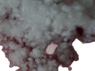 杜邦生物绒 sorona生物绒杜邦棉生态