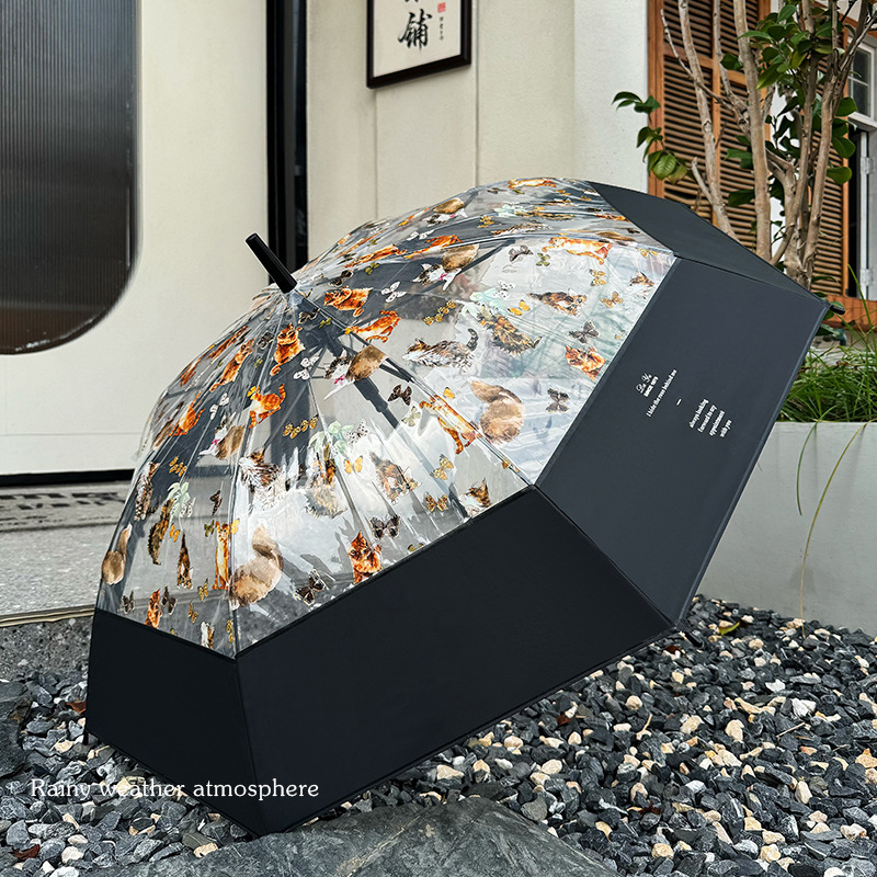 小红书热销爆款雨具可爱猫咪透明雨伞ins长柄伞防风防雨大号加固